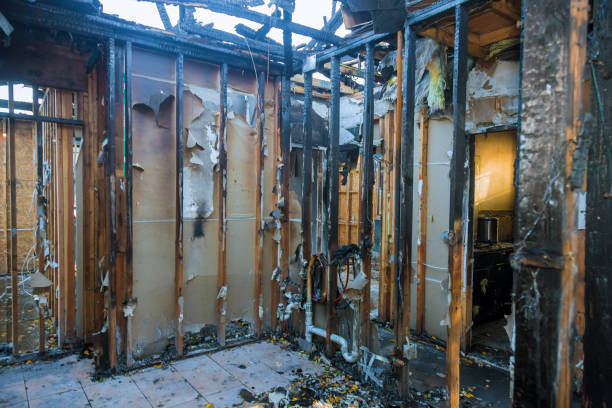Professional Fire Damage Assessment technician working in Battlefield, MO